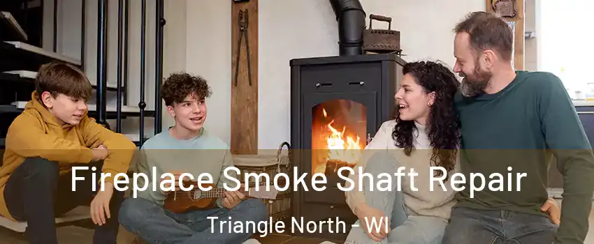 Fireplace Smoke Shaft Repair Triangle North - WI