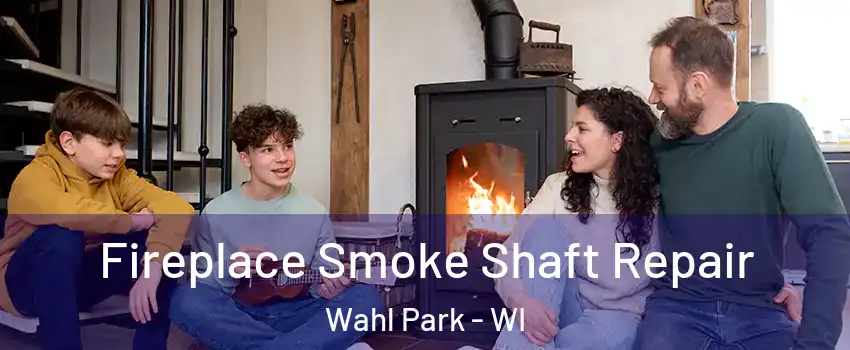 Fireplace Smoke Shaft Repair Wahl Park - WI