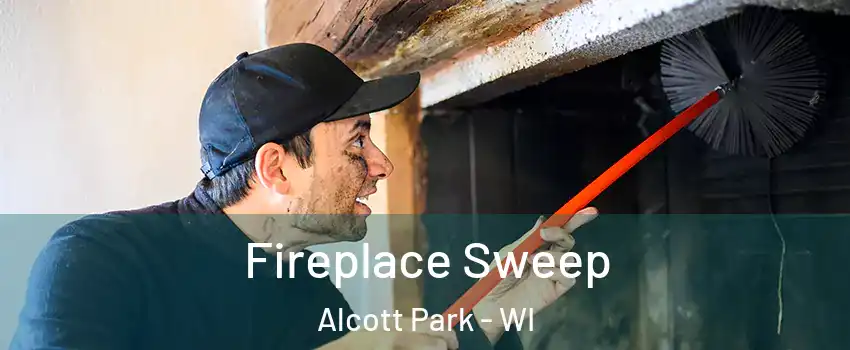 Fireplace Sweep Alcott Park - WI