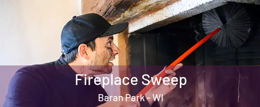 Fireplace Sweep Baran Park - WI