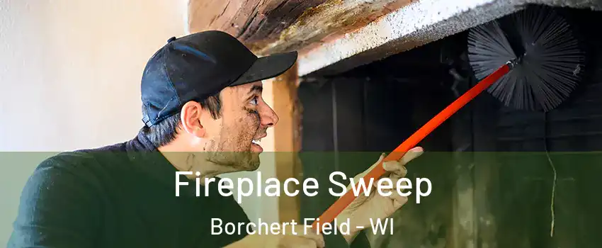 Fireplace Sweep Borchert Field - WI