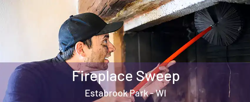 Fireplace Sweep Estabrook Park - WI