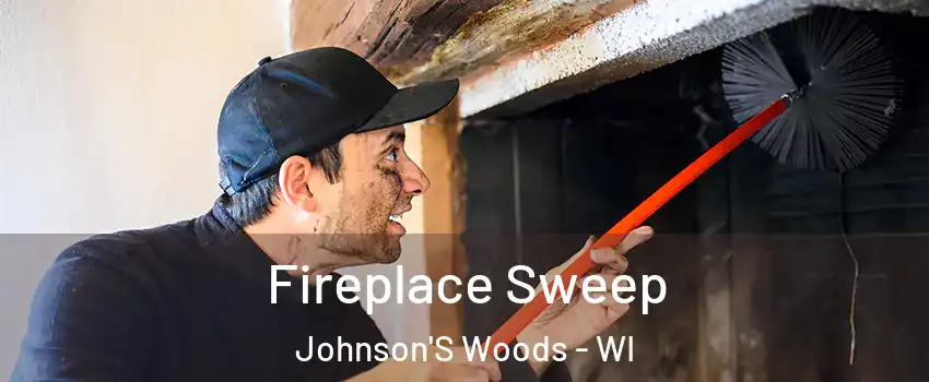 Fireplace Sweep Johnson'S Woods - WI