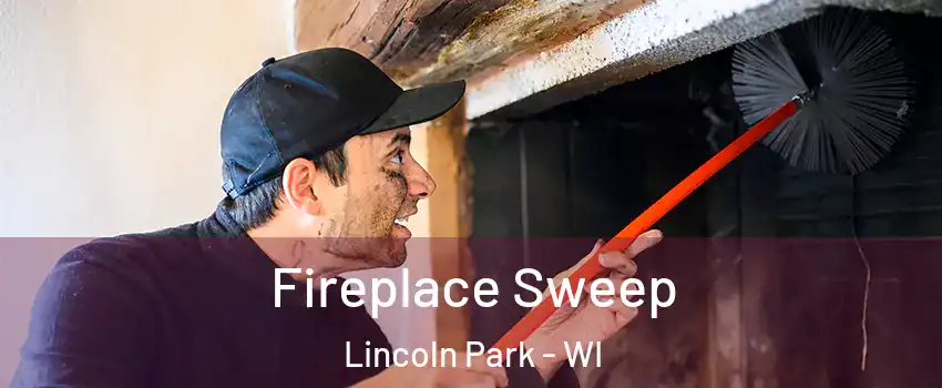 Fireplace Sweep Lincoln Park - WI