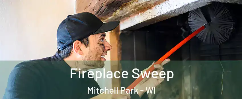 Fireplace Sweep Mitchell Park - WI