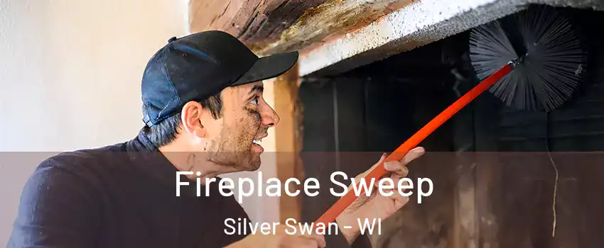 Fireplace Sweep Silver Swan - WI