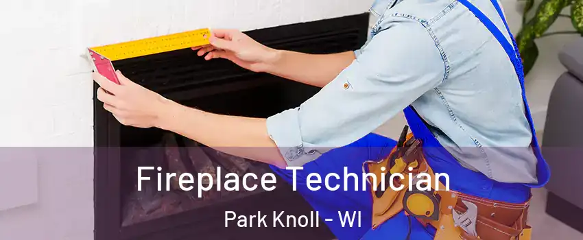 Fireplace Technician Park Knoll - WI