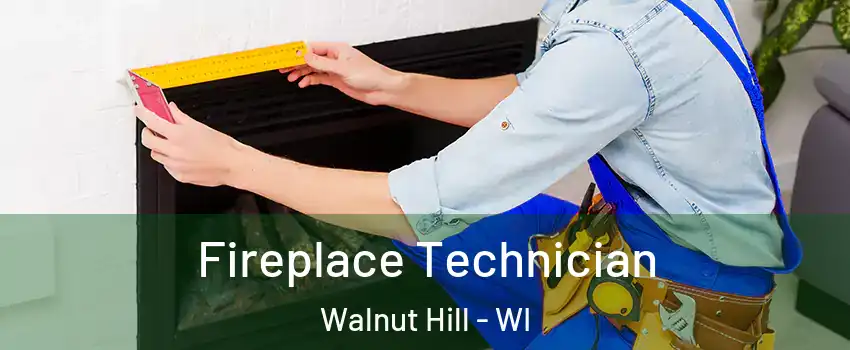 Fireplace Technician Walnut Hill - WI