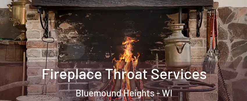 Fireplace Throat Services Bluemound Heights - WI