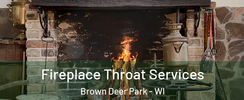 Fireplace Throat Services Brown Deer Park - WI