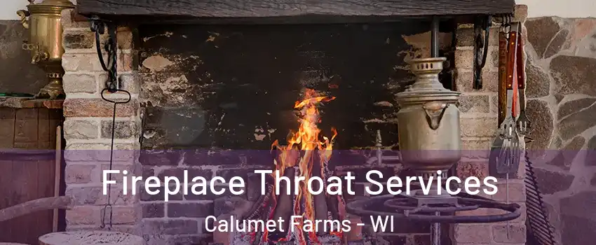 Fireplace Throat Services Calumet Farms - WI