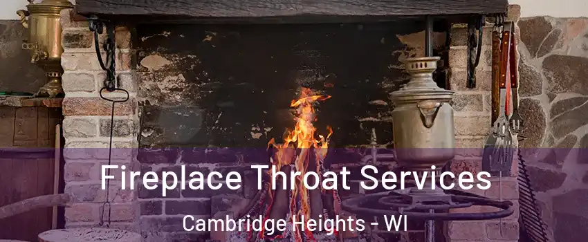 Fireplace Throat Services Cambridge Heights - WI