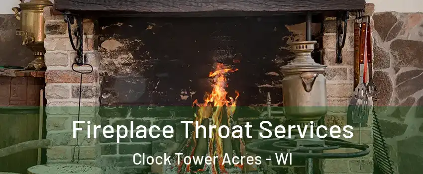 Fireplace Throat Services Clock Tower Acres - WI