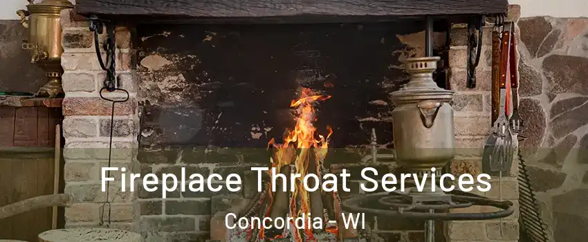 Fireplace Throat Services Concordia - WI