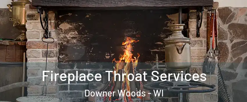 Fireplace Throat Services Downer Woods - WI