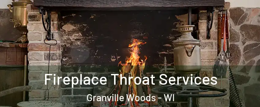 Fireplace Throat Services Granville Woods - WI