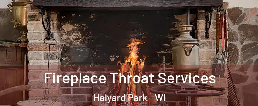 Fireplace Throat Services Halyard Park - WI