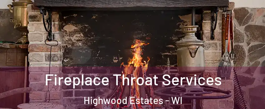 Fireplace Throat Services Highwood Estates - WI