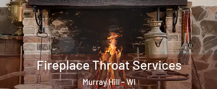 Fireplace Throat Services Murray Hill - WI