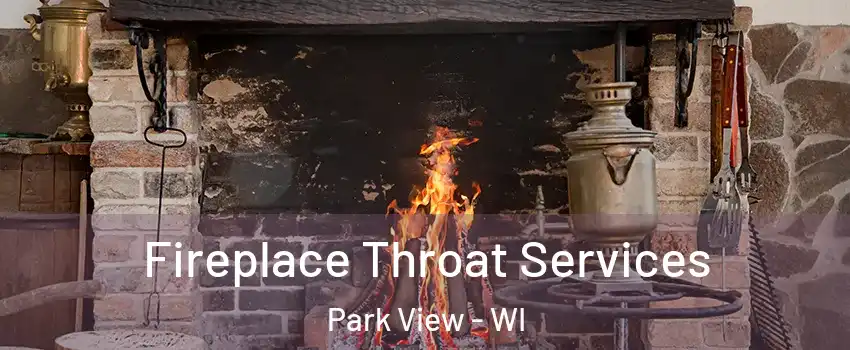 Fireplace Throat Services Park View - WI