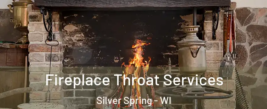 Fireplace Throat Services Silver Spring - WI