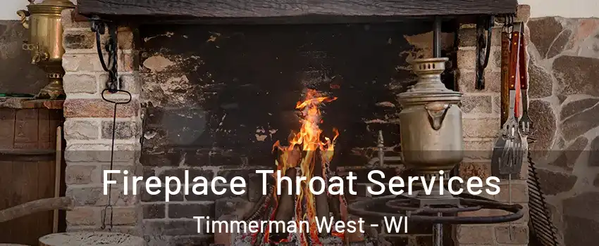 Fireplace Throat Services Timmerman West - WI