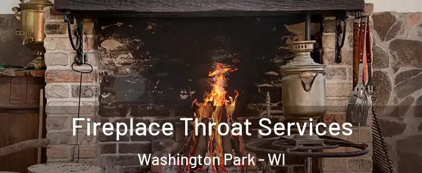 Fireplace Throat Services Washington Park - WI