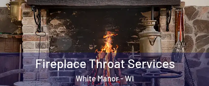 Fireplace Throat Services White Manor - WI