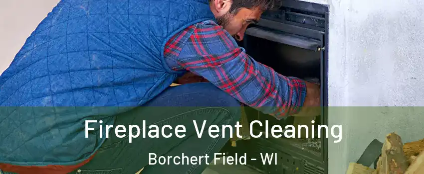 Fireplace Vent Cleaning Borchert Field - WI