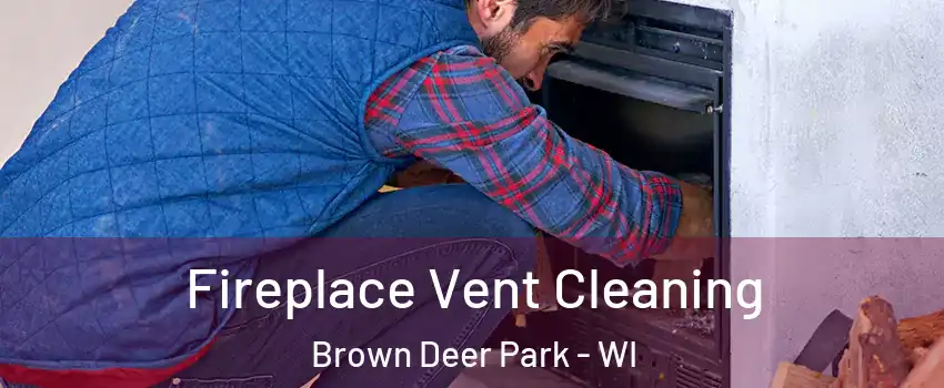 Fireplace Vent Cleaning Brown Deer Park - WI