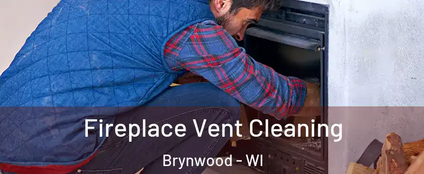 Fireplace Vent Cleaning Brynwood - WI