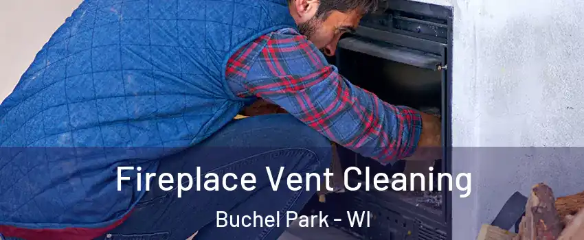 Fireplace Vent Cleaning Buchel Park - WI