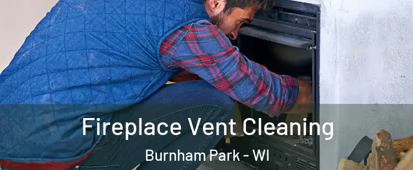 Fireplace Vent Cleaning Burnham Park - WI