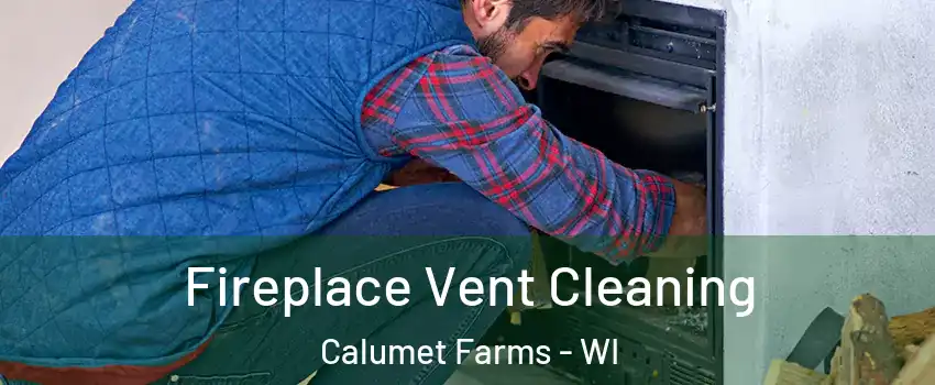 Fireplace Vent Cleaning Calumet Farms - WI