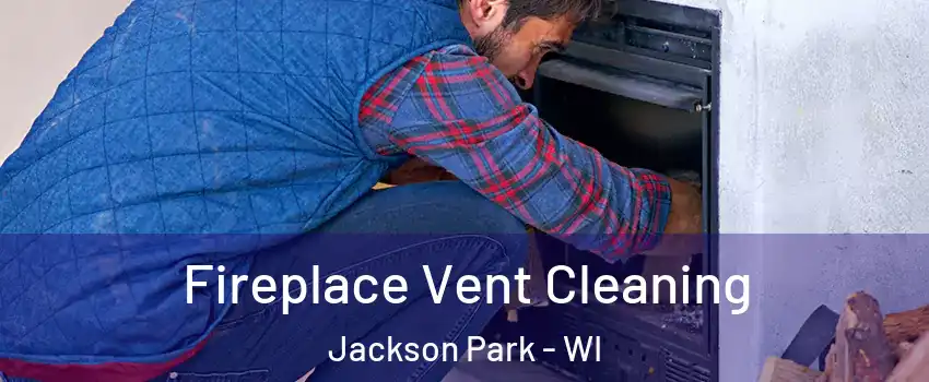 Fireplace Vent Cleaning Jackson Park - WI