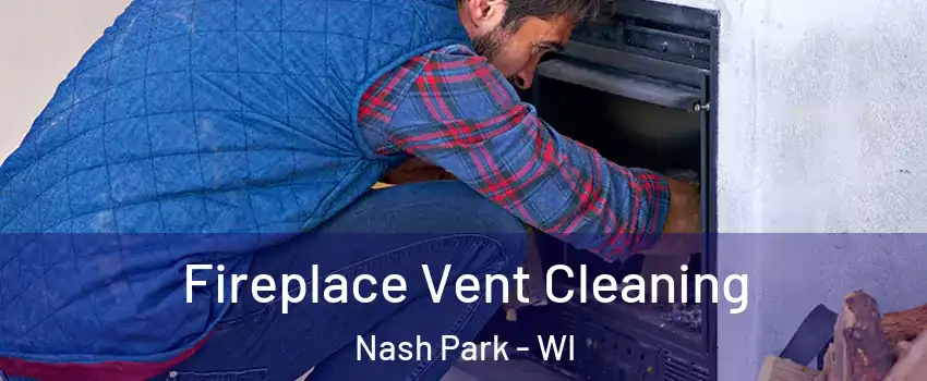 Fireplace Vent Cleaning Nash Park - WI