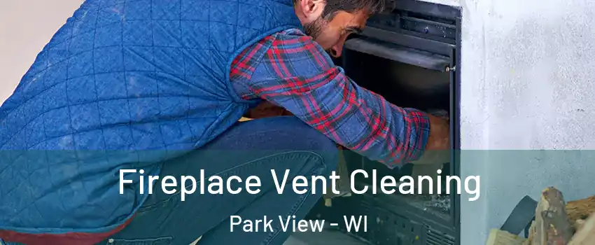 Fireplace Vent Cleaning Park View - WI