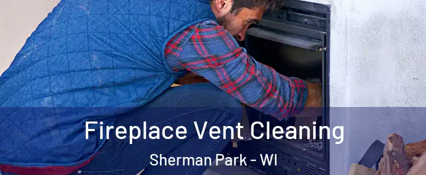 Fireplace Vent Cleaning Sherman Park - WI