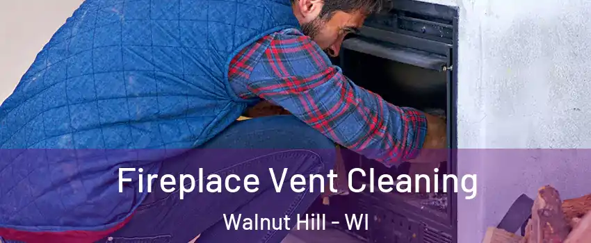 Fireplace Vent Cleaning Walnut Hill - WI