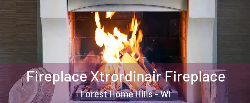 Fireplace Xtrordinair Fireplace Forest Home Hills - WI