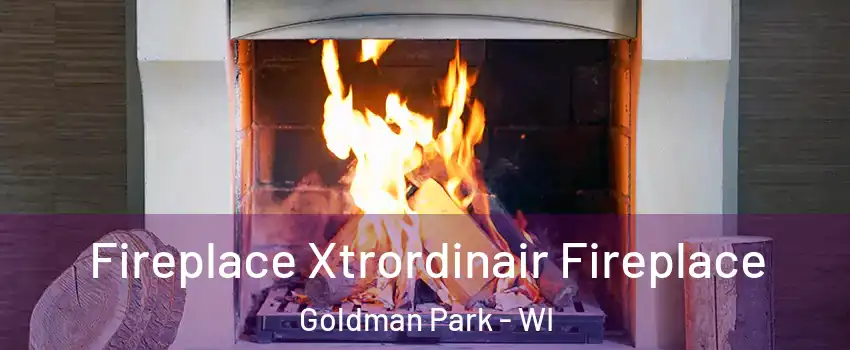 Fireplace Xtrordinair Fireplace Goldman Park - WI