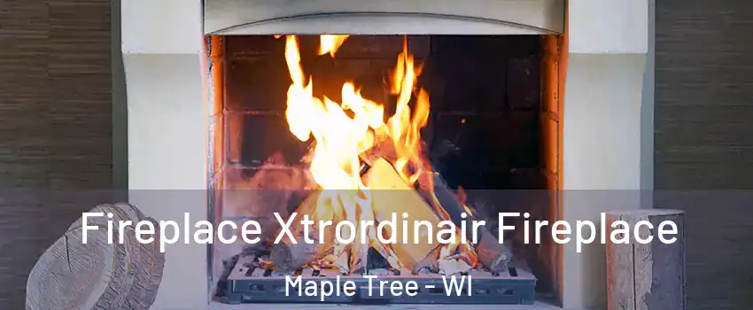 Fireplace Xtrordinair Fireplace Maple Tree - WI