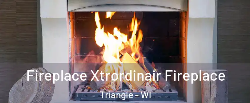 Fireplace Xtrordinair Fireplace Triangle - WI