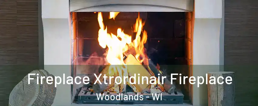 Fireplace Xtrordinair Fireplace Woodlands - WI