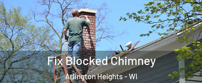 Fix Blocked Chimney Arlington Heights - WI