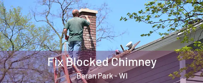 Fix Blocked Chimney Baran Park - WI