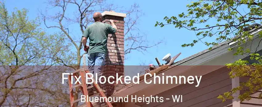 Fix Blocked Chimney Bluemound Heights - WI