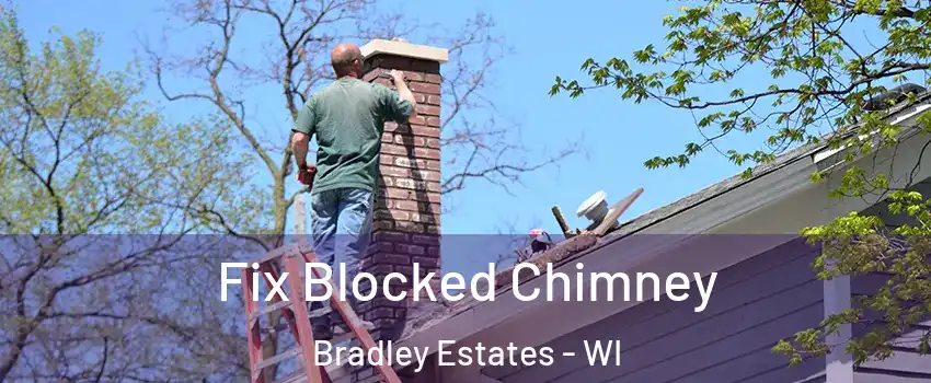 Fix Blocked Chimney Bradley Estates - WI