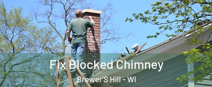 Fix Blocked Chimney Brewer'S Hill - WI