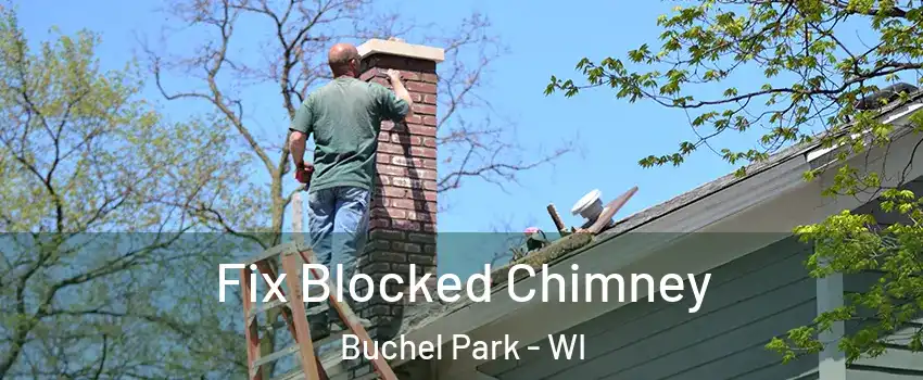 Fix Blocked Chimney Buchel Park - WI